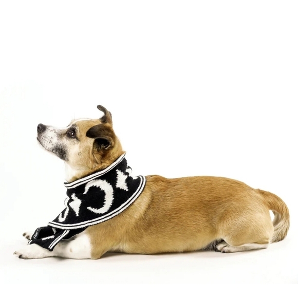 Rogue + Wolf ✦ “Moon Pupper” Knit Pet Scarf ✦ Black Vegan Yarn Celestial Print - Picture 9 of 16